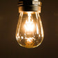 Hometown Evolution S14 11 Watts Clear Light Bulb with E26 Base (Box of 25)