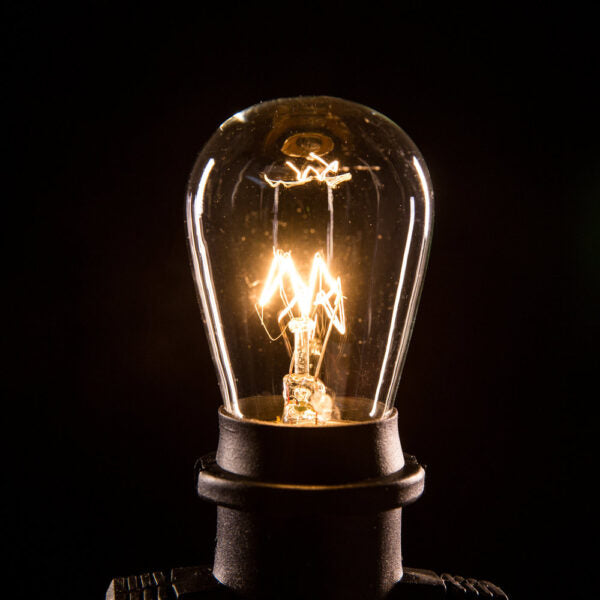 Hometown Evolution S14 11 Watts Clear Light Bulb with E26 Base