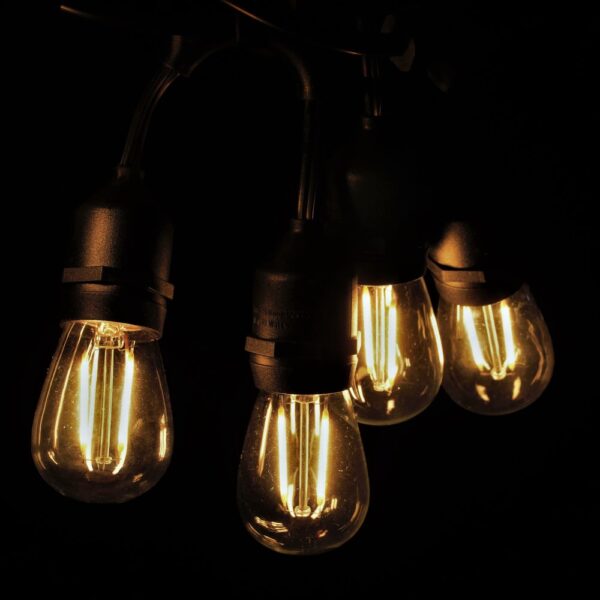 Hometown Evolution S14 Double LED Filament E26 Commercial 48 Foot String Light Set with Suspended Socket