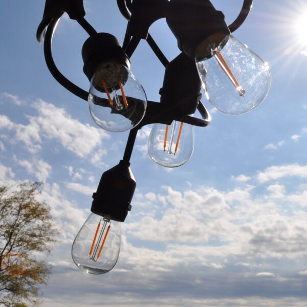 Hometown Evolution S14 Double LED Filament E26 Commercial 48 Foot String Light Set with Suspended Socket