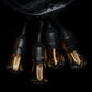 Hometown Evolution S14 Double LED Filament E26 Commercial 48 Foot String Light Set with Suspended Socket