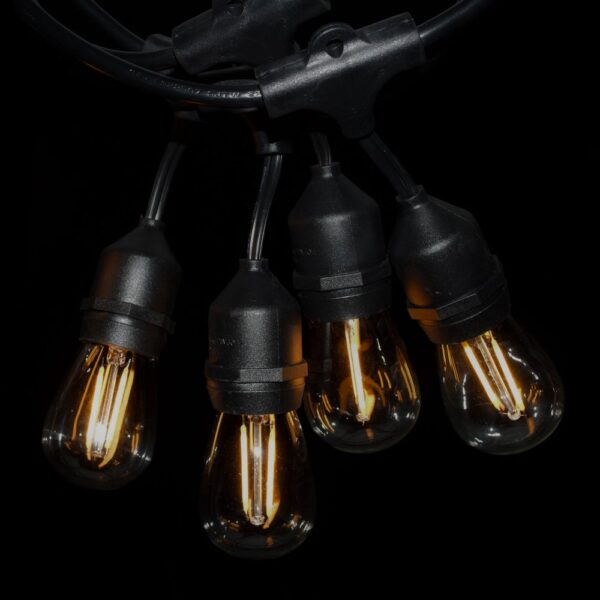 Hometown Evolution S14 Double LED Filament E26 Commercial 48 Foot String Light Set with Suspended Socket