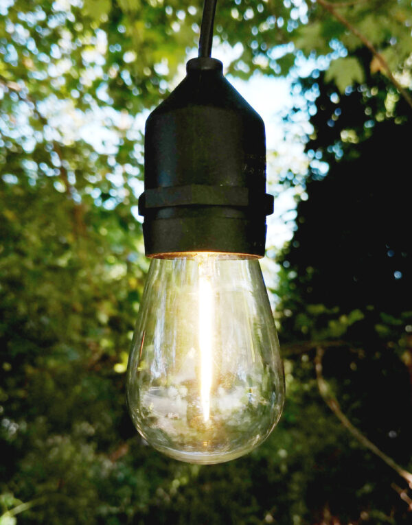 Hometown Evolution S14 LED Filament Clear Light Bulb with E26 Base (Box of 25)