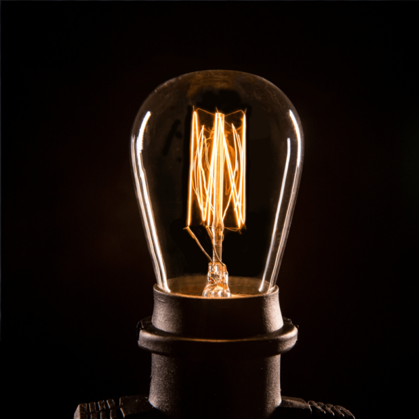Hometown Evolution S14 Lantern Edison Light Bulb with E26 Base