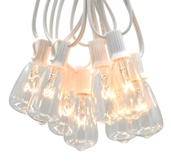 Hometown Evolution ST11 10 Foot Clear String Light Set with White wire