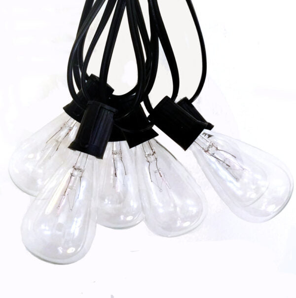 Hometown Evolution ST11 100 Foot Clear String Light Set with Black wire