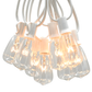 Hometown Evolution ST11 25 Foot Clear String Light Set with White wire