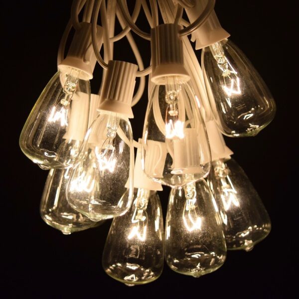 Hometown Evolution ST11 50 Foot Clear String Light Set with White wire