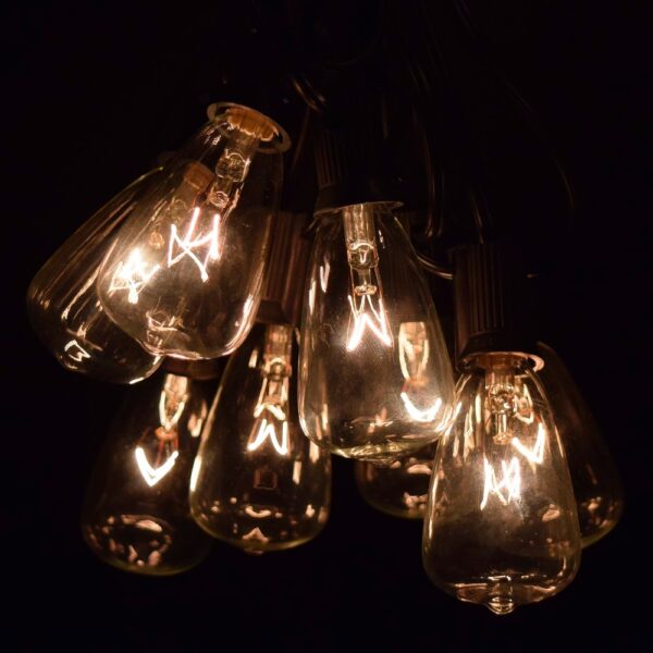 Hometown Evolution ST11 Clear String Light Set with Black wire