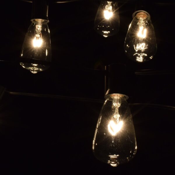 Hometown Evolution ST11 Clear String Light Set with Black wire