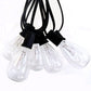Hometown Evolution ST11 Clear String Light Set with Black wire