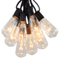 Hometown Evolution ST40 10 Foot Clear String Light Set with Black Wire