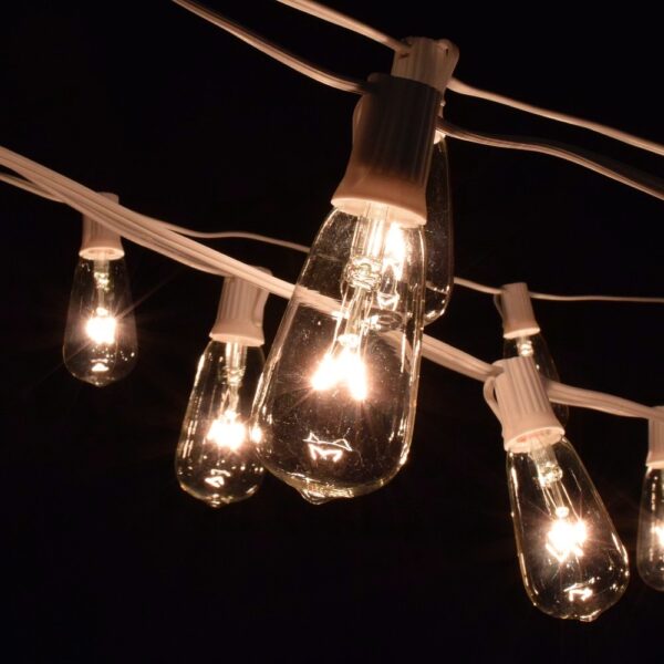 Hometown Evolution ST40 10 Foot Clear String Light Set with White wire