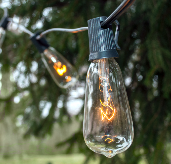 Hometown Evolution ST40 10 Foot Clear String Light Set with White wire