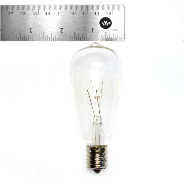 Hometown Evolution ST40 10 Foot Clear String Light Set with White wire