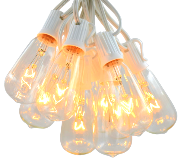 Hometown Evolution ST40 100 Foot Clear String Light Set with White wire