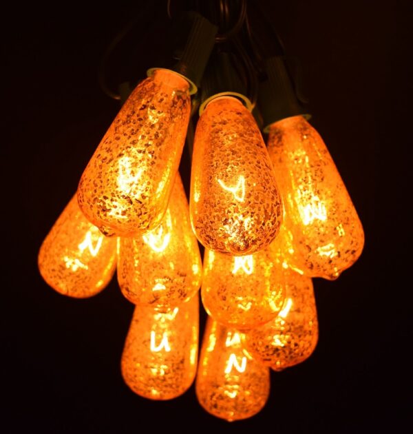 Hometown Evolution ST40 100 Foot Mercury Gold String Light Set with Green Wire