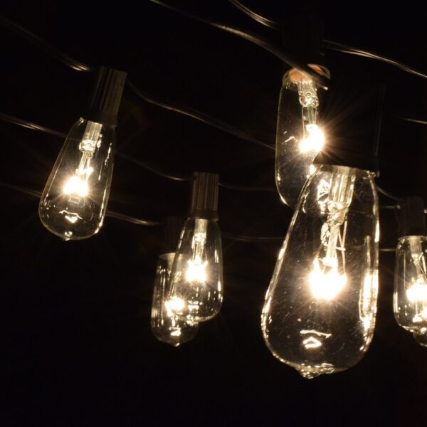 Hometown Evolution ST40 25 Foot Clear String Light Set with Black Wire