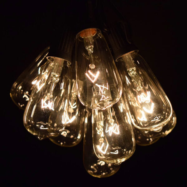 Hometown Evolution ST40 25 Foot Clear String Light Set with Black Wire