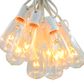 Hometown Evolution ST40 25 Foot Clear String Light Set with White wire