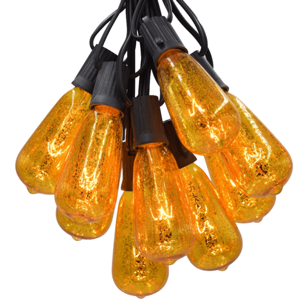 Hometown Evolution ST40 25 Foot Mercury Gold String Light Set with Black Wire