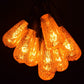 Hometown Evolution ST40 25 Foot Mercury Gold String Light Set with Black Wire