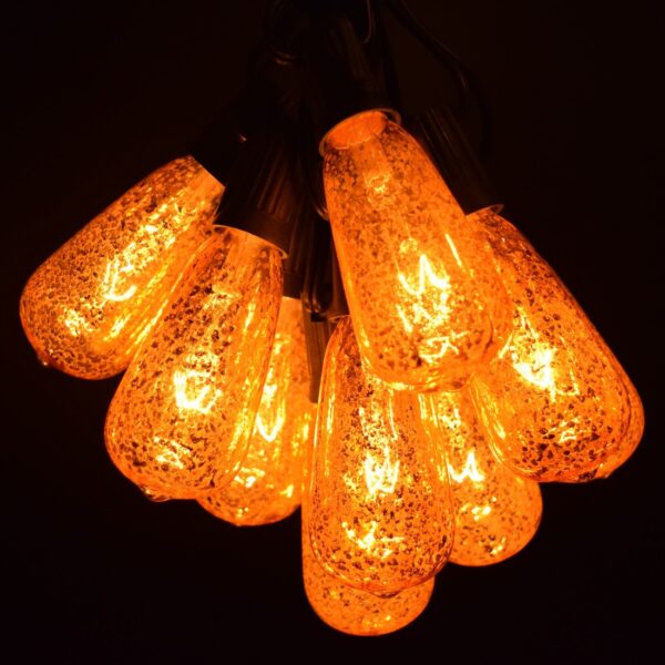 Hometown Evolution ST40 25 Foot Mercury Gold String Light Set with Black Wire