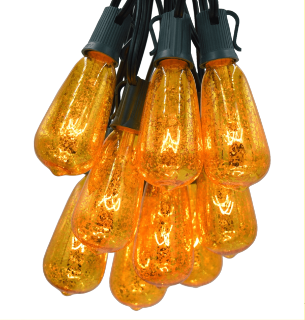 Hometown Evolution ST40 25 Foot Mercury Gold String Light Set with Green Wire