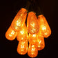Hometown Evolution ST40 25 Foot Mercury Gold String Light Set with Green Wire