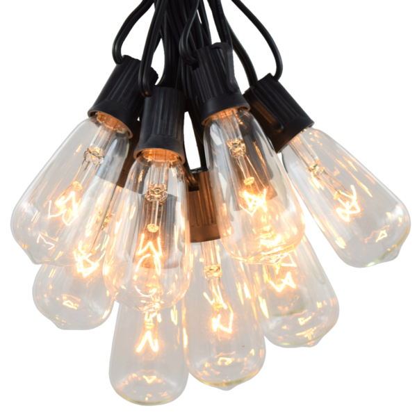 Hometown Evolution ST40 50 Foot Clear String Light Set with Black Wire
