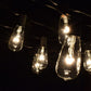 Hometown Evolution ST40 50 Foot Clear String Light Set with Black Wire
