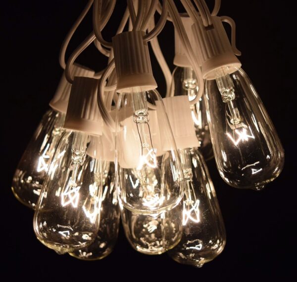 Hometown Evolution ST40 50 Foot Clear String Light Set with White wire