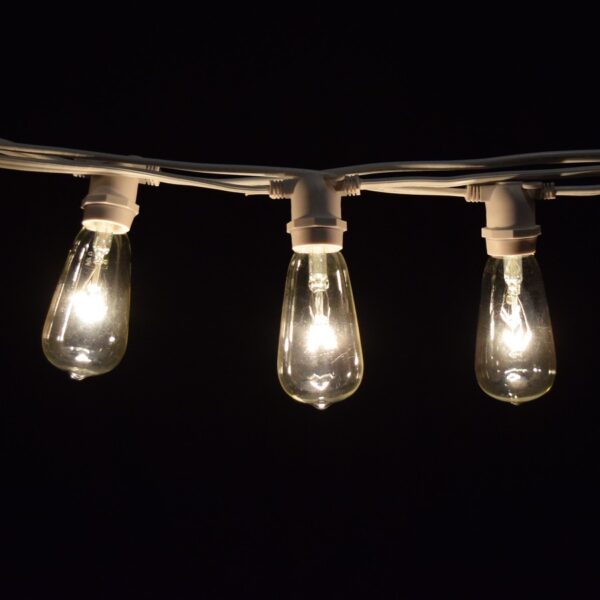 Hometown Evolution ST40 Commercial 100 Foot Clear String Light Set with White Wire