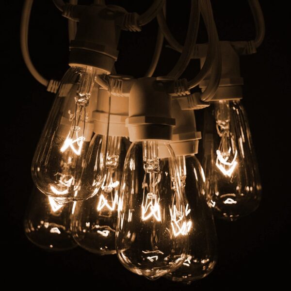 Hometown Evolution ST40 Commercial 100 Foot Clear String Light Set with White Wire