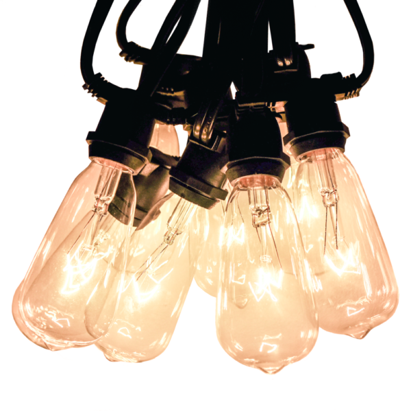 Hometown Evolution ST40 Commercial 25 Foot Clear String Light Set with Black Wire