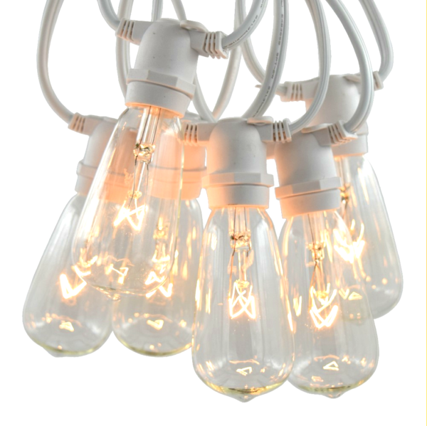 Hometown Evolution ST40 Commercial 25 Foot Clear String Light Set with White Wire