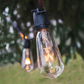 Hometown Evolution ST40 Commercial 50 Foot Clear String Light Set with Black Wire