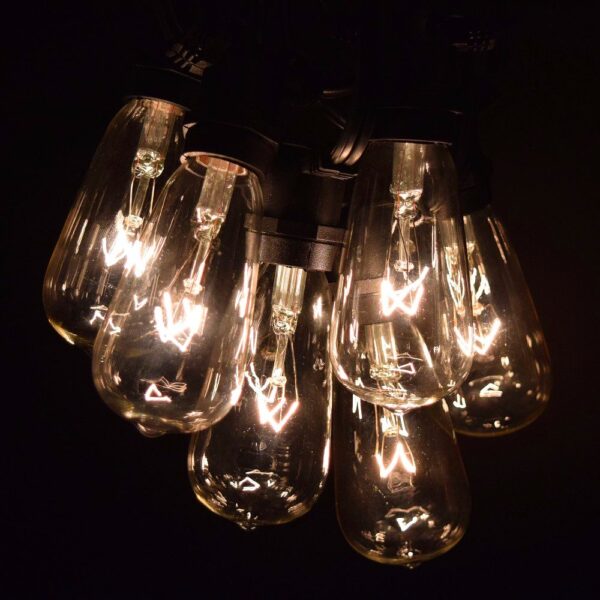 Hometown Evolution ST40 Commercial 50 Foot Clear String Light Set with ...