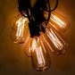 Hometown Evolution ST40 Lantern Edison 50 Foot String Light Set with Black wire