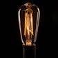 Hometown Evolution ST40 Lantern Edison 50 Foot String Light Set with Black wire