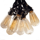 Hometown Evolution ST40 Lantern Edison Commercial 100 Foot String Light Set with Black Wire