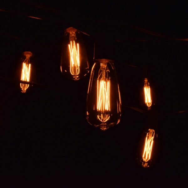 Hometown Evolution ST40 Lantern Edison Commercial 25 Foot String Light Set with Black Wire