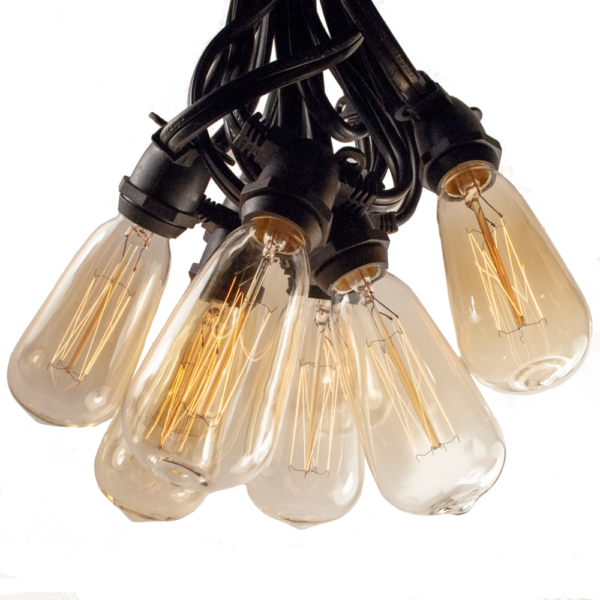Hometown Evolution ST40 Lantern Edison Commercial 25 Foot String Light Set with Black Wire