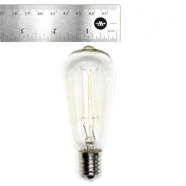 Hometown Evolution ST40 Lantern Edison Commercial 25 Foot String Light Set with Black Wire