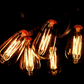 Hometown Evolution ST40 Lantern Edison Commercial 25 Foot String Light Set with Black Wire