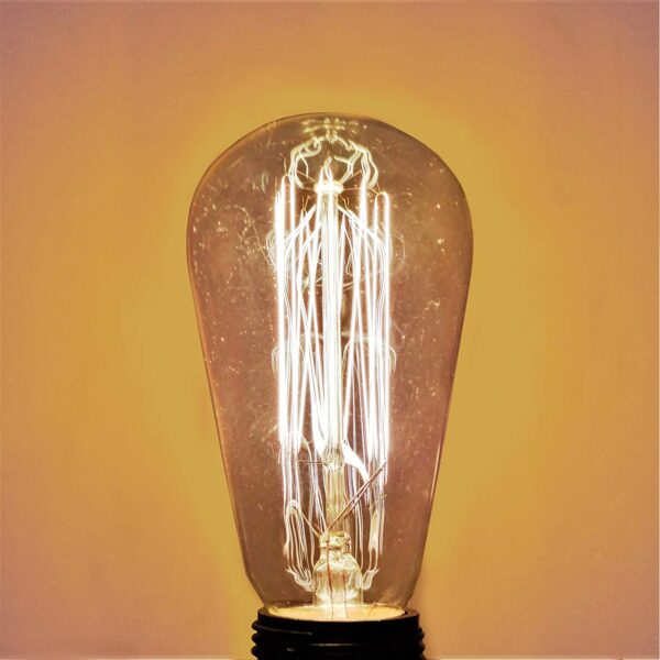 Hometown Evolution ST58 Squirrel Cage Vintage Edison 40 Watts Light Bulb 1 Pack