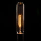 Hometown Evolution T25 Tube Edison 100 Foot String Light Set with Black wire