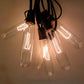 Hometown Evolution T25 Tube Edison 50 Foot String Light Set with Black wire