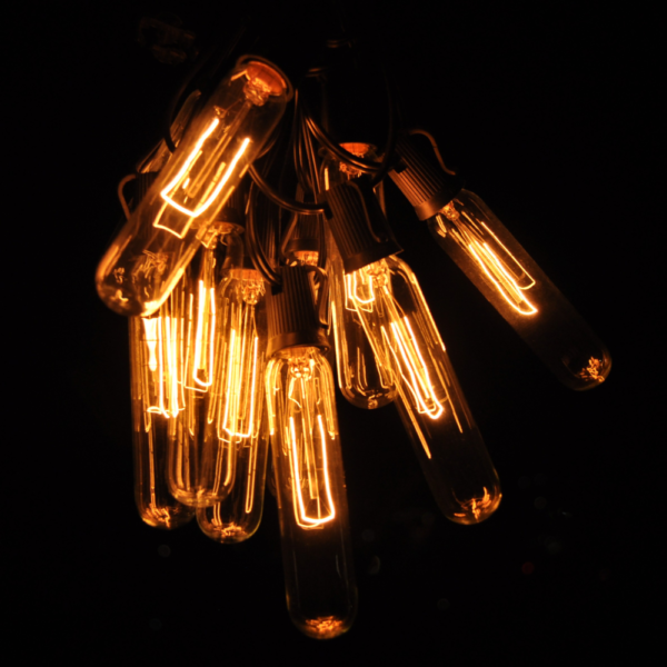Hometown Evolution T25 Tube Edison 50 Foot String Light Set with Black wire