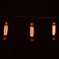 Hometown Evolution T25 Tube Edison Commercial 100 Foot String Light Set with Black Wire